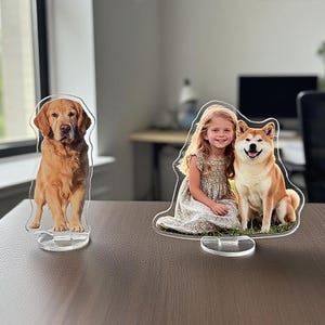 Custom Acrylic Cake Topper, Photo Gifts, Custom Photo Sculptures, Mother's Day Gift, Custom Dog or Cat Portrait, Birthday Gifts