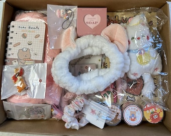 Bolsa sorpresa Lucky Scoop / Artículos de papelería, juguetes y cuidado personal / Caja sorpresa de TikTok para ella