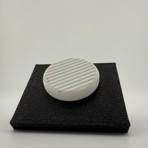 Coral Frag Mount Holder 2 Pack Glass/Weir Box Frag Plug Rack | PETG Reef Tank