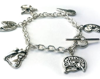 Anatomy School Charm Bracelet in solid sterling silver HEART LUNGS KIDNEY more