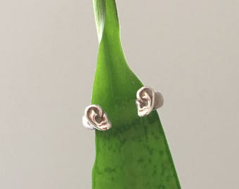 Palladium White Gold Ear Ring: Anatomy Jewelry, Audiology Gift