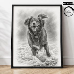 May include: A black and white pencil drawing of a dog with floppy ears and a collar with a round tag, depicted running through shallow water. The artwork is presented in a simple black frame, capturing the dog with an open mouth and fur texture.