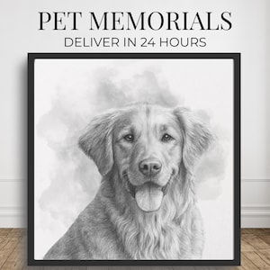 Könnte beinhalten: Eine gerahmte Bleistiftskizze eines Golden Retriever-Hundes mit einem weichen, verschwommenen Hintergrund. Der Text "PET MEMORIALS" und "DELIVER IN 24 HOURS" sind oben im Rahmen zu sehen.