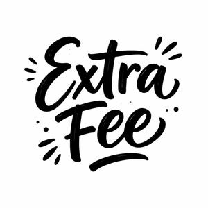 Extra fee : Add on or extra fee payment request