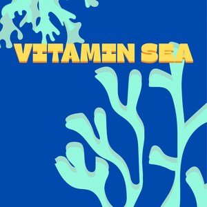 poster, mare, estate, blu, cartolina, corallo, minimalista
