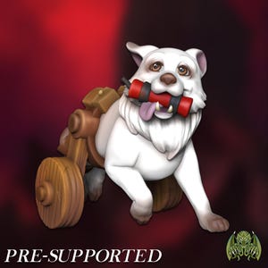 Pet Companion Miniature | DnD Minis | RPG | Fantasy gaming | Role Playing | Tabletop | Figure | Resin | 3D Printed | Dungeons and Dragons