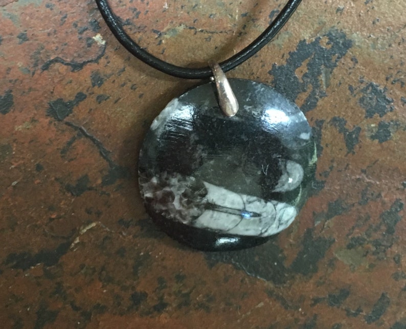 Black and white orthoceras fossil jasper circle pendant on a 20 leather cord packaged in a colorful gift bag 497A