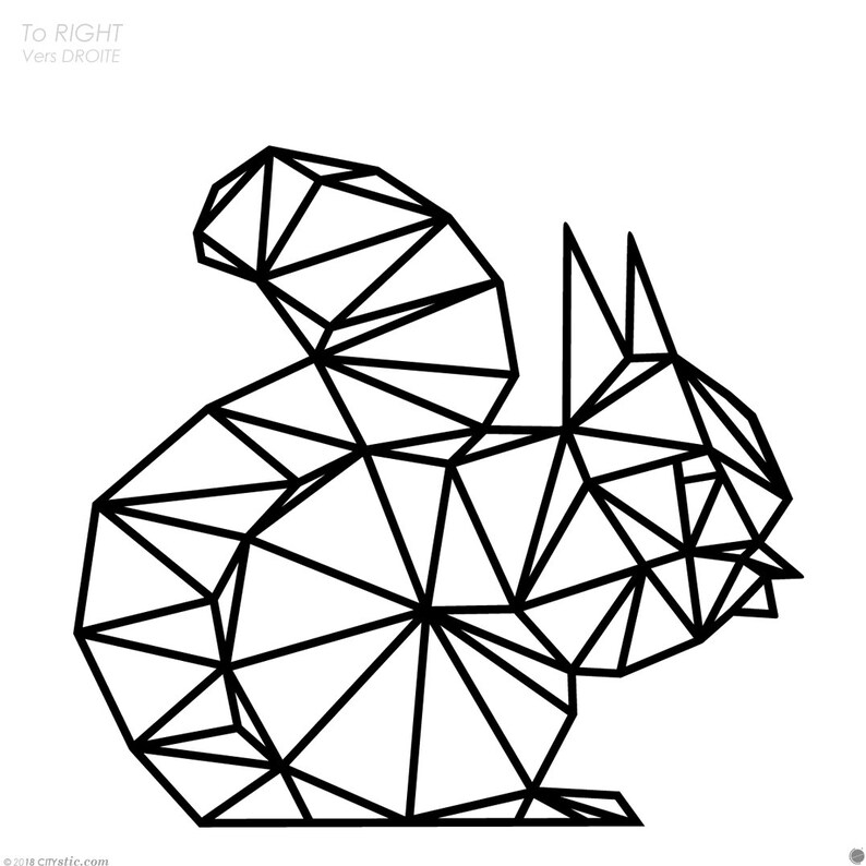 FLFK Squirrel Wall Decals For Kids Room - Removable Vinyl Wall Stickers | Easy Apply Matte Finish Decor
