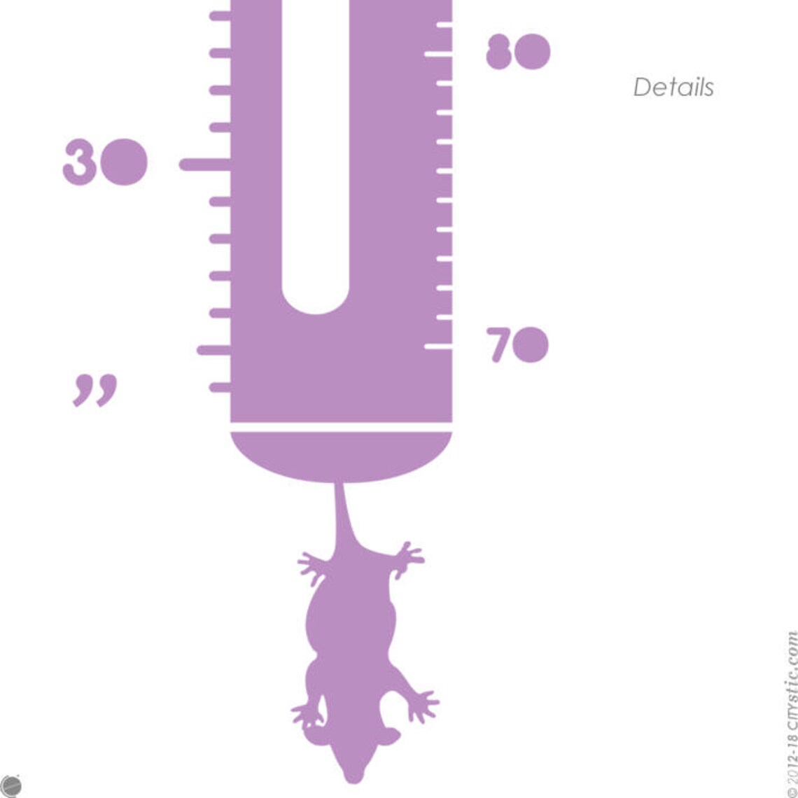 KIDS WALL DECAL Metric Feet Child Growth Height Chart Etsy