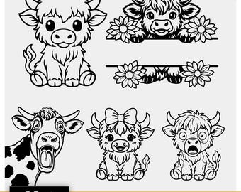 Highland Kuh SVG Bundle, Baby Kuh Clipart, geteilter Namensrahmen, Sonnenblumenakzente (digitaler Download)