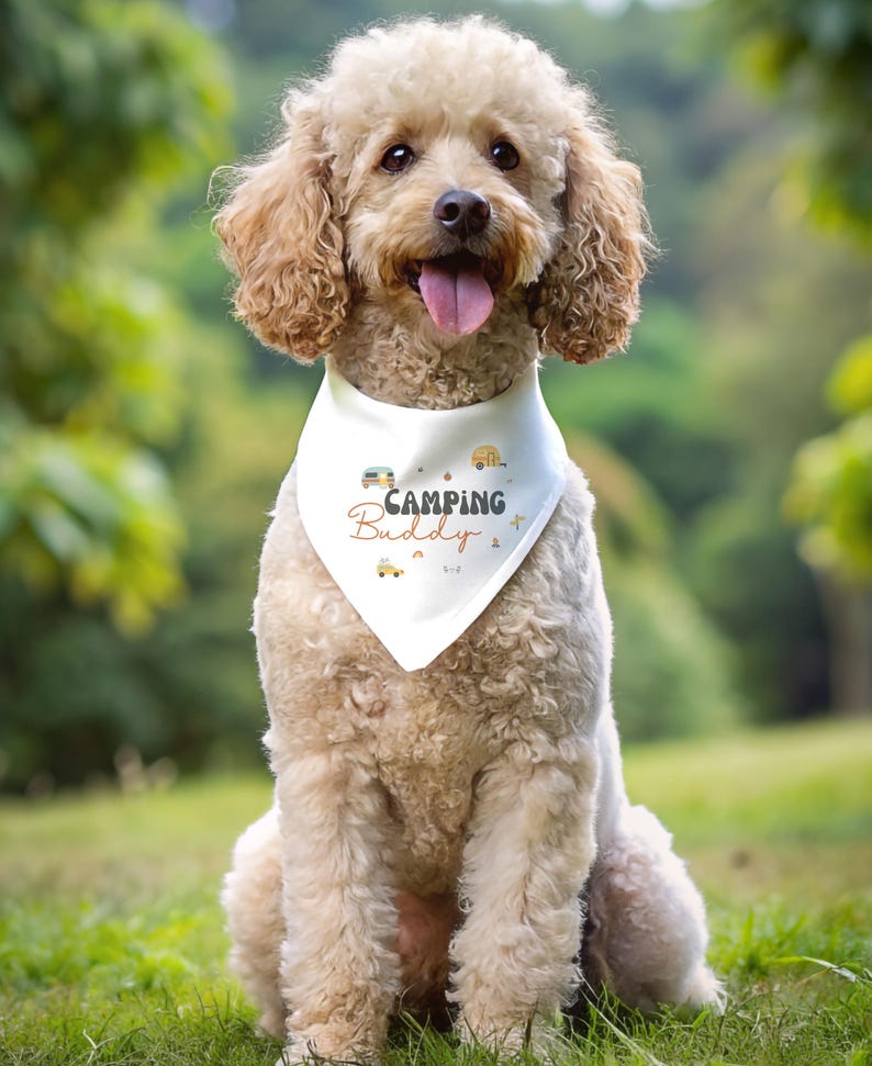 May include: A light-colored curly-haired dog wearing a white triangular pet bandana. The bandana features the text "Camping Buddy" in dark and orange lettering, surrounded by small graphic illustrations of campers, trees, and stars.