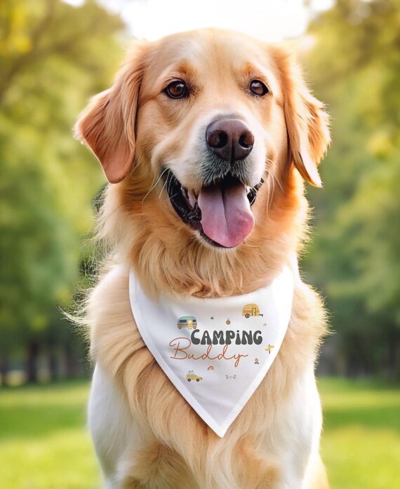Hundehalstuch Camping Buddy | Hunde Bandana für Camping | Geschenk für Hundebesitzer | Camping mit Hund Zubehör