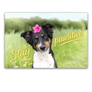 Tarjeta imprimible "¡Mantente positivo!" (Mantente positivo) Postal motivacional Autoimpresión digital, lindo perro con flor, Collie, Postal