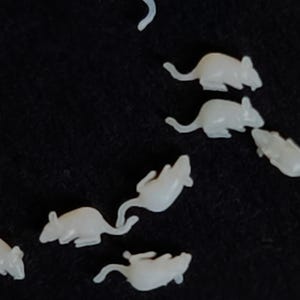 Może przedstawiać: Kolekcja małych, białawych plastikowych figurek myszy na czarnym tle. Myszy są w różnych pozach, niektóre stoją, inne leżą, z widocznymi ogonami i spiczastymi uszami. Figurki wydają się być zabawkami lub elementami dekoracyjnymi.