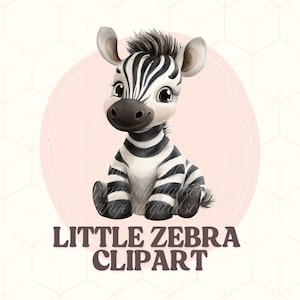 Little Zebra Clipart PNG | Cute Safari Animal Digital Download | Jungle Baby Zebra Illustration | Nursery Wall Art | Wildlife Clip Art