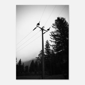 May include: Black and white photograph of a utility pole with power lines against a backdrop of trees and a misty mountain range. The image is a study in contrasts, with the dark silhouettes of the trees and pole set against a lighter sky.
