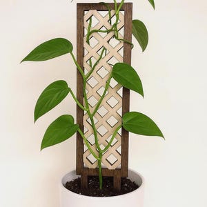 25&quot; Geometric Wood Trellis | Laser-Cut Design | Indoor Plant Support | Potted Trellis