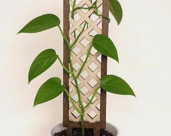 25 cm geometrisk träspaljé | Laserskuren design | Stöd för inomhusväxter | Krukspaljé