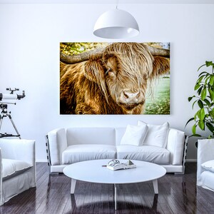 Highland Cattle 19 - Fine Art Photography - Highland Cow - Nature Photography