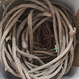 May include: A bundle of dried, brown, woody vines, tightly coiled. The vines vary in thickness and have a rough texture. A green plastic clip secures some of the vines. The overall appearance suggests a natural, rustic aesthetic, suitable for crafting or decorative purposes.