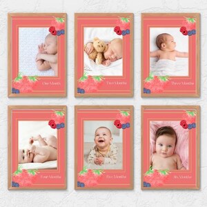 Cartes jalons sur le thème des baies