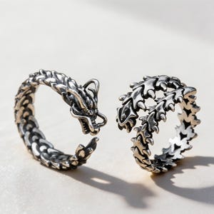 Könnte beinhalten: Zwei silberfarbene Ringe mit Drachenmotiv. Ein Ring ist als Drachenkopf mit geschupptem Körper geformt, während der andere Ring ein segmentiertes, stacheliges Schwanzdesign aufweist. Beide Ringe haben eine offene, verstellbare Ringstruktur.