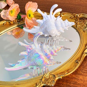 May include: Two decorative seashell sculptures, one white and one iridescent, are displayed on a mirrored surface within a gold-framed oval tray. The iridescent shell reflects multiple colours. Peach-coloured flowers with yellow centres are in the background.