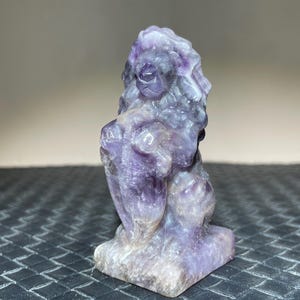 3&quot;Natural Dreamy amethyst Lion skull,Lion skull,Quartz crystal skull,Hand carved,Home Decoration,Crystal healing,Crystal gift 1x