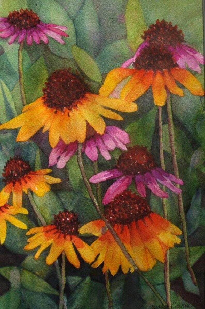 ORANGE CONEFLOWERS Original Watercolor Painting Etsy