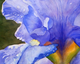 PURPLE IRIS -Giclee Print of Original Watercolor Painting