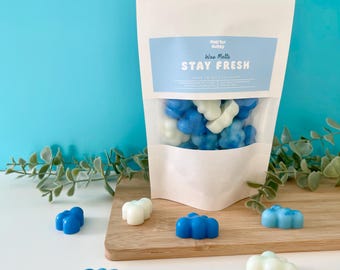 Stay Fresh Waxmelts – Frische Wäsche Duft | 80 g Sojawachs | fresh & clean | bis zu 60 h Duft | Wolken Wachsmelts
