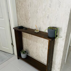 May include: A dark brown wooden console table with a rectangular design and a lower shelf. A small potted cactus and a small potted plant with trailing vines sit on the table. A small black object and a key are on the top shelf.
