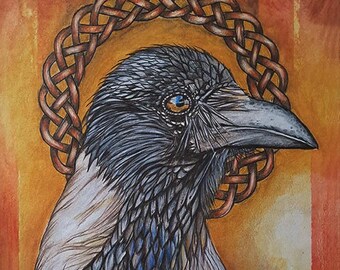 Hooded Crow - A4 Art Print