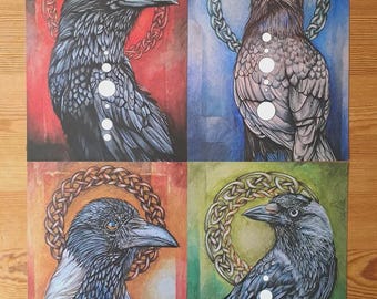 Corvid Print Set - Rook, Raven, Hooded Crow & Jackdaw.