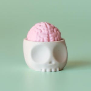Può includere: Un contenitore in ceramica bianco a forma di teschio con un cervello rosa all'interno. Il cervello ha una superficie strutturata. Il contenitore ha orbite oculari e una cavità nasale. Lo sfondo è di colore verde chiaro.
