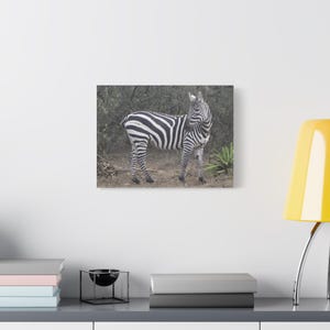 Zebra Art Canvas Print, Modern Wall Decor for Animal Lovers, Unique Home Decoration, Wildlife Room Accent, Gift Idea