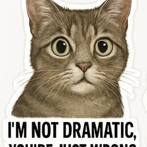 May include: A sticker featuring a detailed illustration of a cat's face with large, expressive eyes. The cat is a mix of brown and gray tones. Below the cat is the text: "I'M NOT DRAMATIC, YOU'RE JUST WRONG."