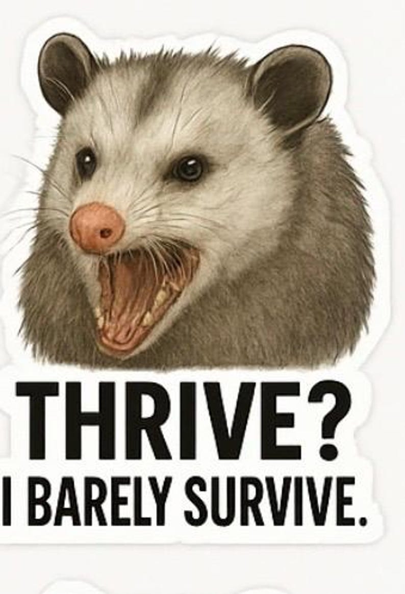 May include: A sticker featuring a detailed illustration of an opossum with its mouth open, revealing teeth. The opossum has gray fur, a pink nose, and dark eyes. Below the opossum, the text reads "THRIVE? I BARELY SURVIVE."