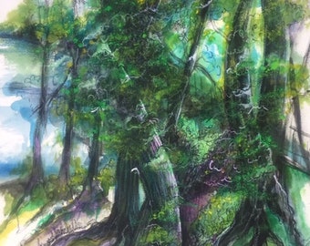 Arboles de verano