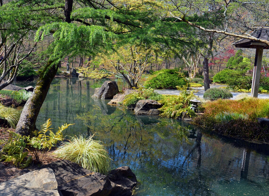 Zen gardens essay picture