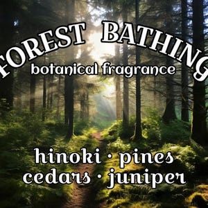 May include: Image of a forest scene with the text "FOREST BATHING" in a white, curved font. Below, the text "botanical fragrance" is displayed. The bottom of the image lists "hinoki • pines cedars • juniper" in white text.