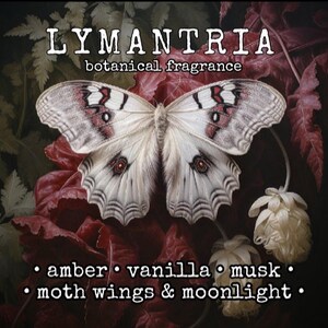 Lymantria Perfume Oil – Amber Vanilla Botanical Fragrance