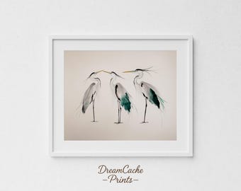 May include: A framed print of three watercolour herons. The birds are painted in shades of grey, teal, and black, with long, slender legs and beaks. The artwork is set against a neutral background and framed in a white border. The text "DreamCache -Prints-" is at the bottom.