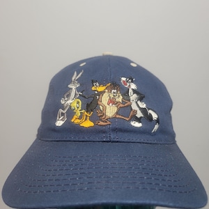 Warner Bros Cap - Etsy