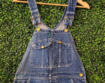 Deadstock Pointer Hickory Denim Work Overalls Railroad Carpenter