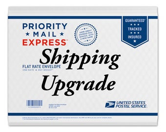 CCADesign purchases ONLY - Priority Mail EXPRESS 1-2 day DOMESTIC shipping upgrade,