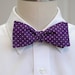 see more listings in the Polka Dot Bow Ties section