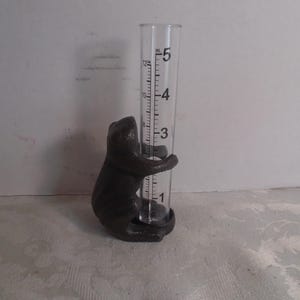 Rain Gauge, Frog Gauge, Frog, Gauge, Rain, Gift
