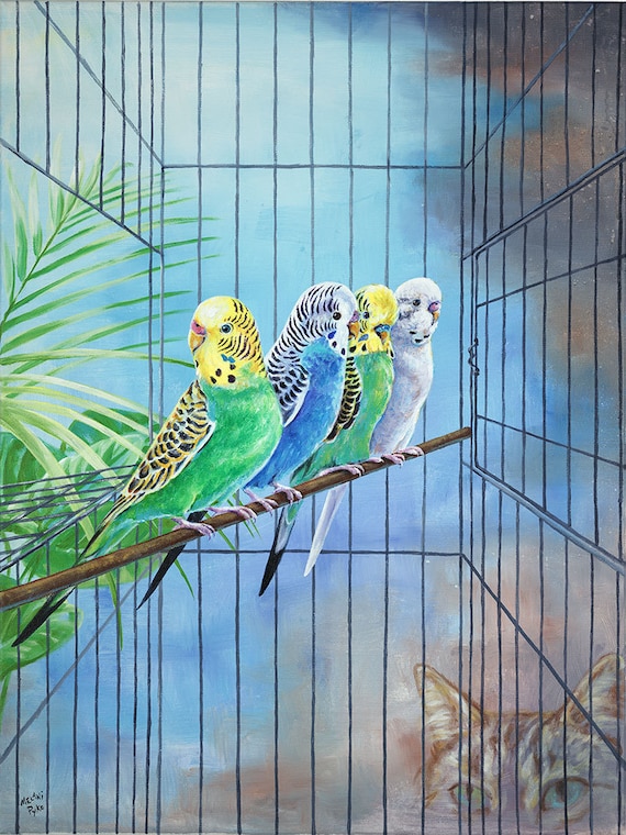 Budgie bird cage cheap