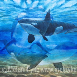 Killer Whales original oil painting or fine art print by Melani Pyke featuring orca whales/  Killer whale underwater art